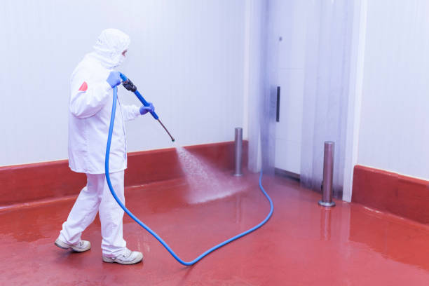 Best Solar Panel Cleaning  in Clio, AL