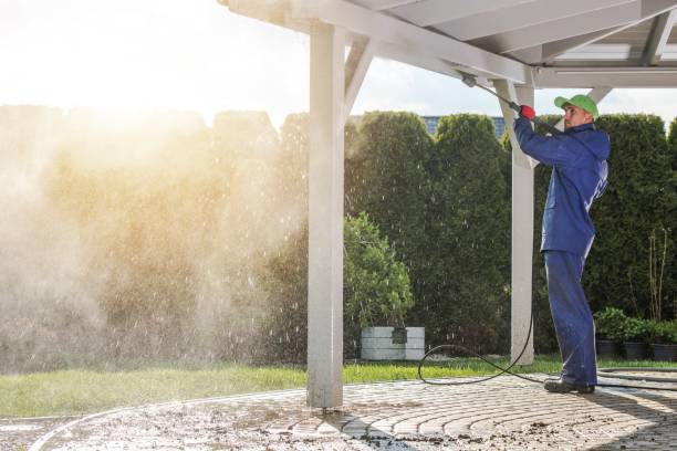 Reliable Clio, AL Pressure Washing Services Solutions