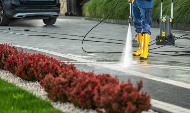 Best Fence Cleaning  in Clio, AL